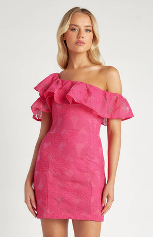 Style State Charla Lace Mini Dress